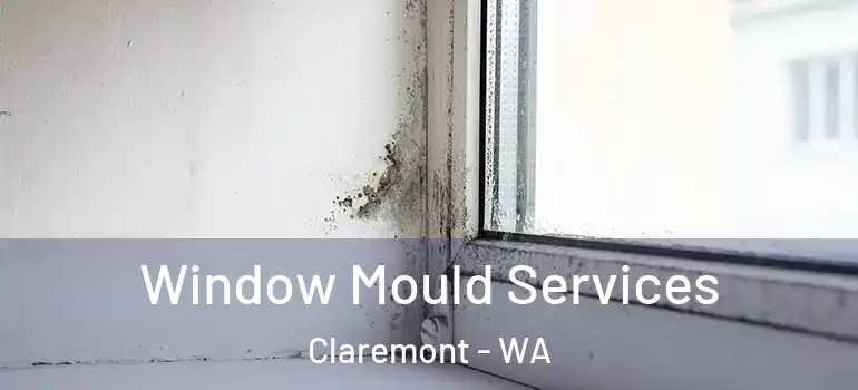 Window Mould Services Claremont - WA