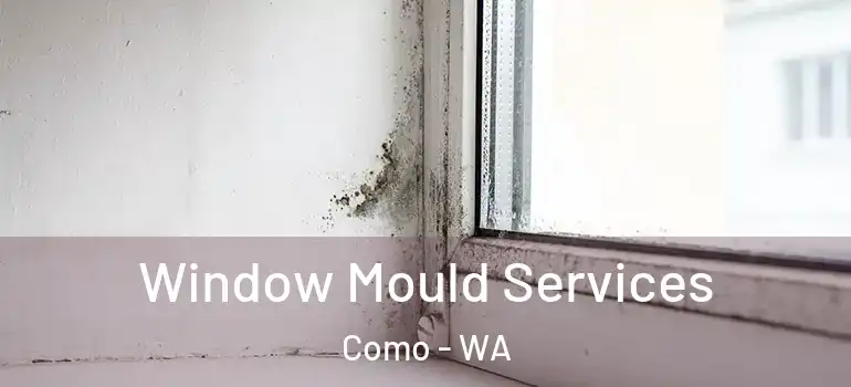 Window Mould Services Como - WA