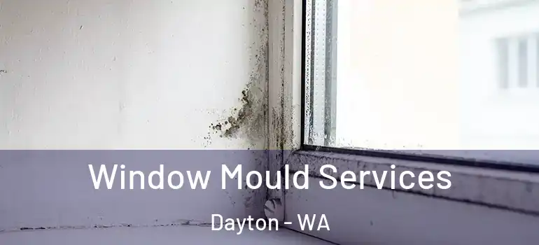  Window Mould Services Dayton - WA