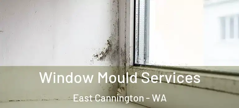 Window Mould Services East Cannington - WA