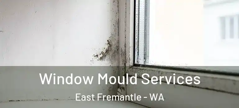 Window Mould Services East Fremantle - WA