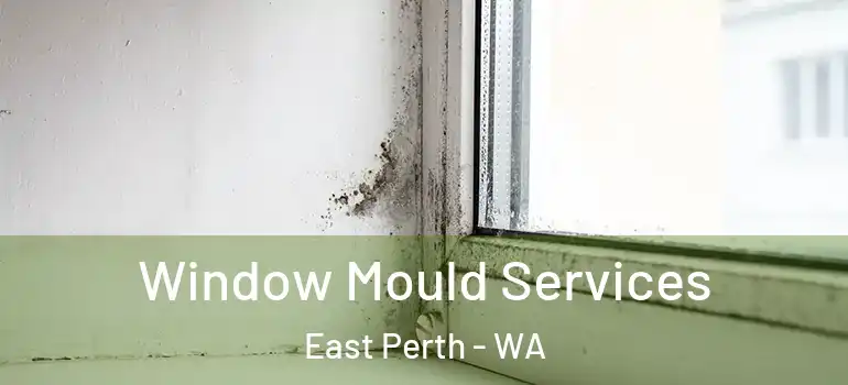  Window Mould Services East Perth - WA