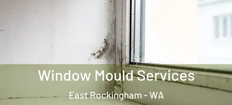  Window Mould Services East Rockingham - WA