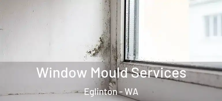  Window Mould Services Eglinton - WA