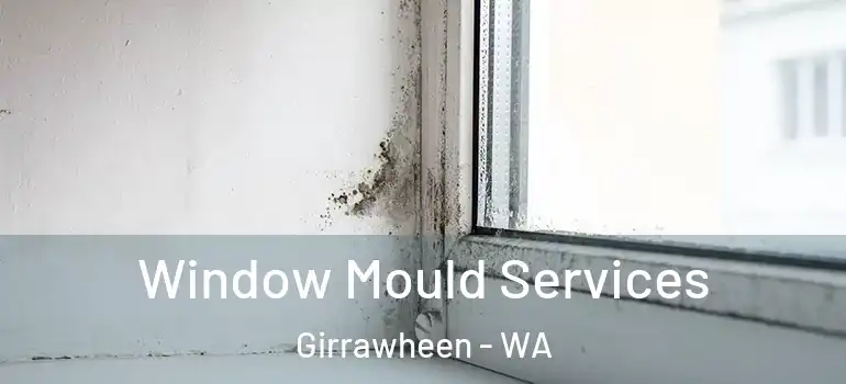  Window Mould Services Girrawheen - WA