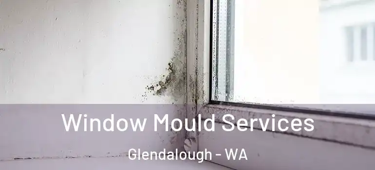  Window Mould Services Glendalough - WA