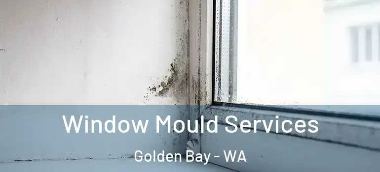  Window Mould Services Golden Bay - WA