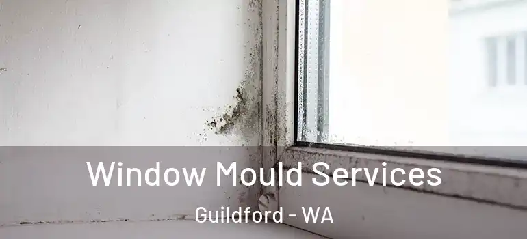  Window Mould Services Guildford - WA