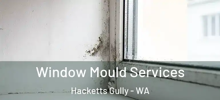 Window Mould Services Hacketts Gully - WA