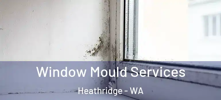  Window Mould Services Heathridge - WA