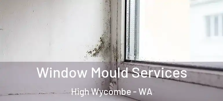 Window Mould Services High Wycombe - WA