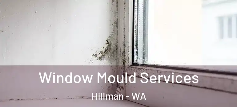 Window Mould Services Hillman - WA