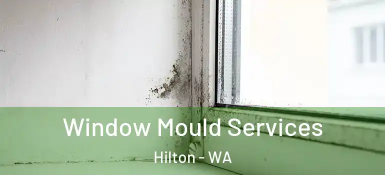 Window Mould Services Hilton - WA