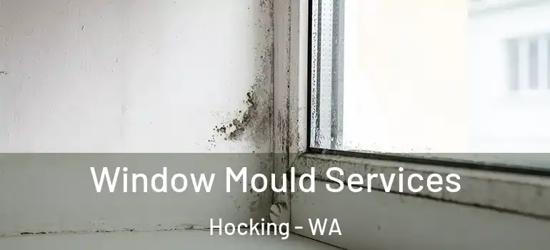  Window Mould Services Hocking - WA