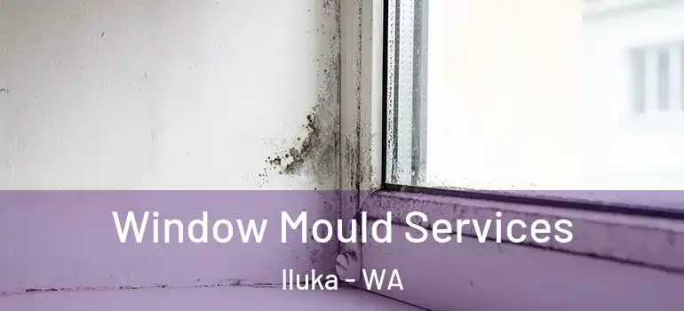  Window Mould Services Iluka - WA