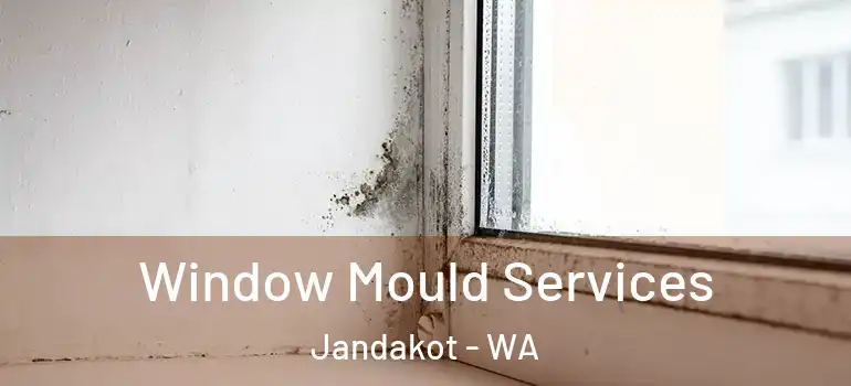  Window Mould Services Jandakot - WA