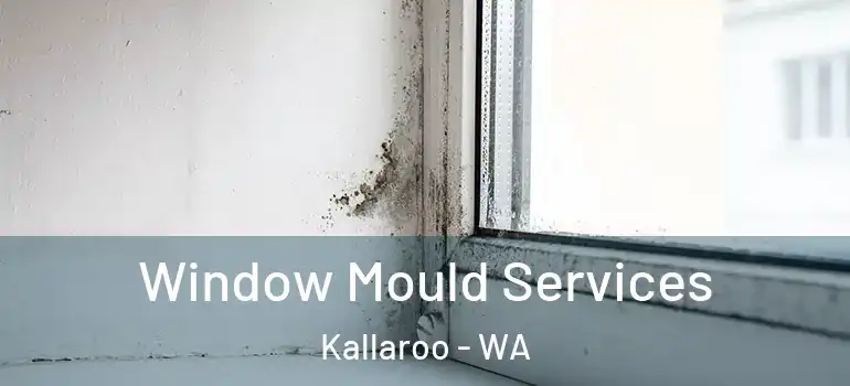  Window Mould Services Kallaroo - WA