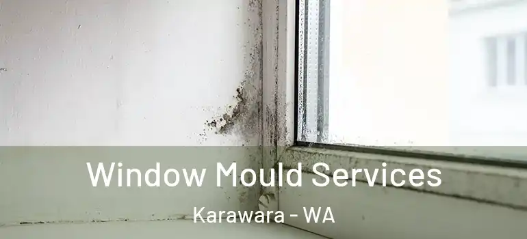  Window Mould Services Karawara - WA