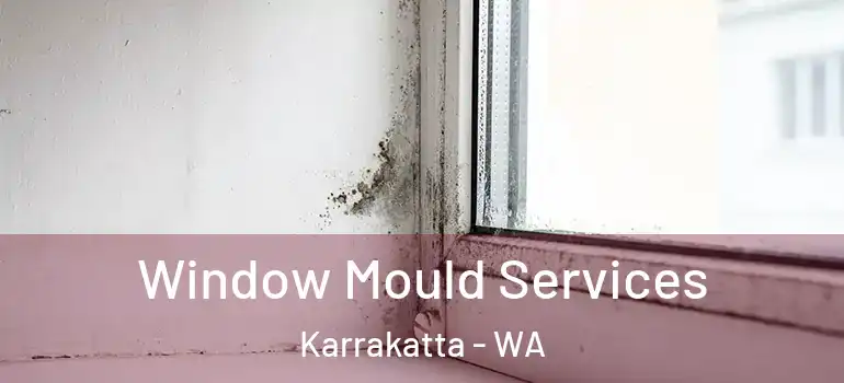 Window Mould Services Karrakatta - WA
