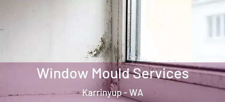  Window Mould Services Karrinyup - WA