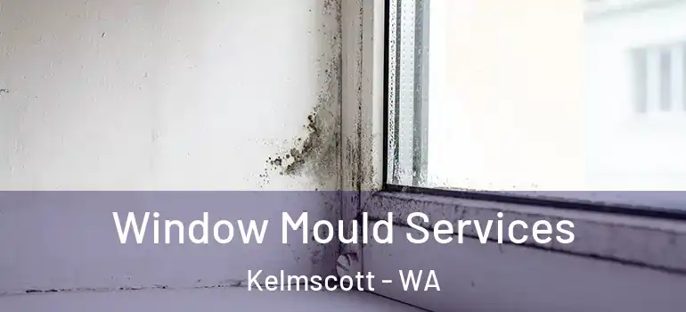 Window Mould Services Kelmscott - WA