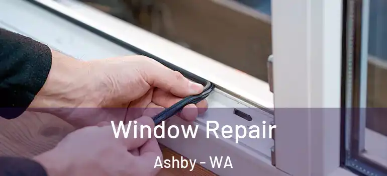  Window Repair Ashby - WA