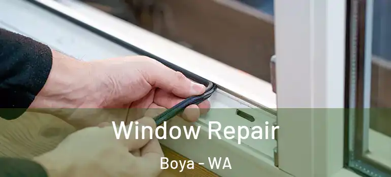  Window Repair Boya - WA