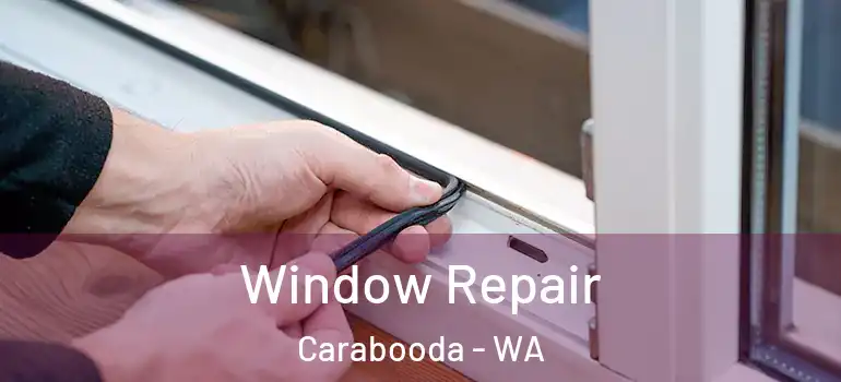  Window Repair Carabooda - WA