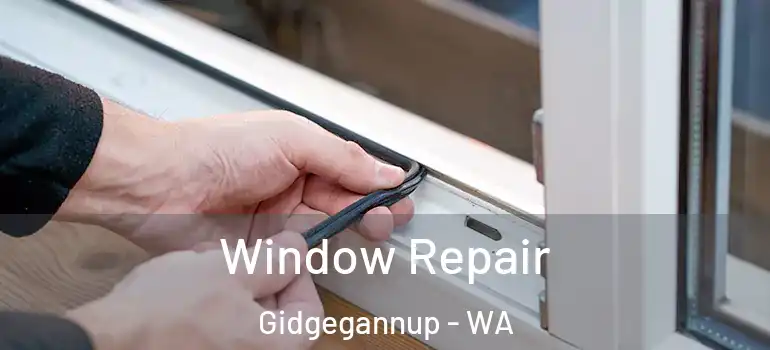 Window Repair Gidgegannup - WA