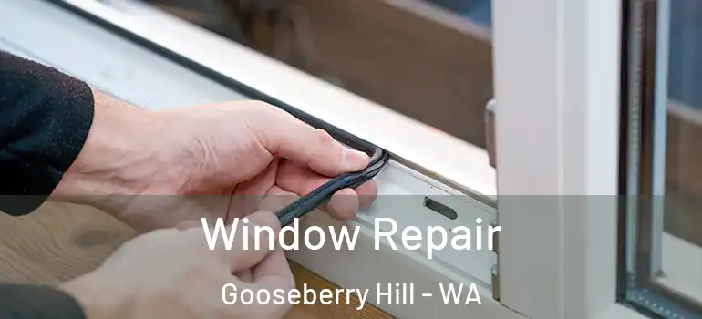  Window Repair Gooseberry Hill - WA