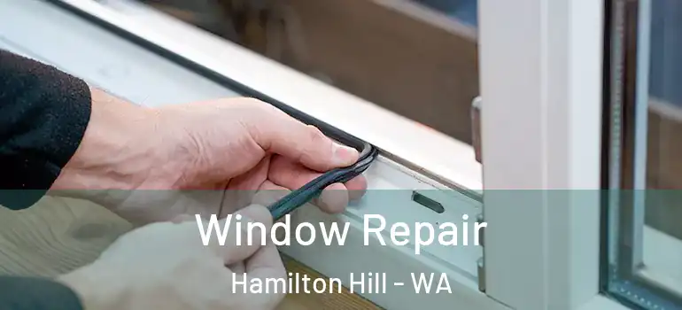  Window Repair Hamilton Hill - WA
