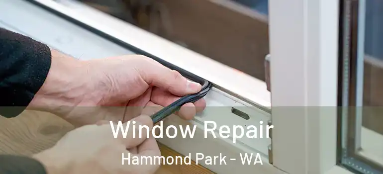  Window Repair Hammond Park - WA