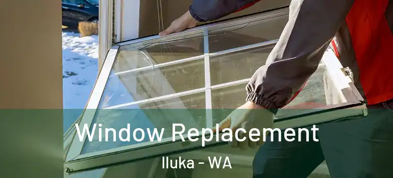 Window Replacement Iluka - WA