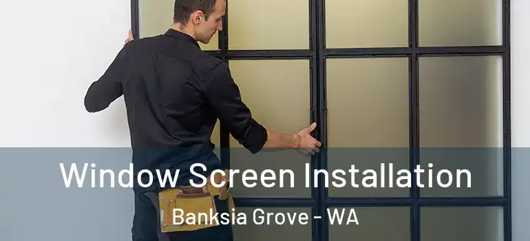  Window Screen Installation Banksia Grove - WA