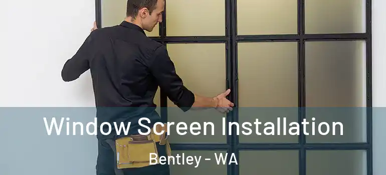  Window Screen Installation Bentley - WA