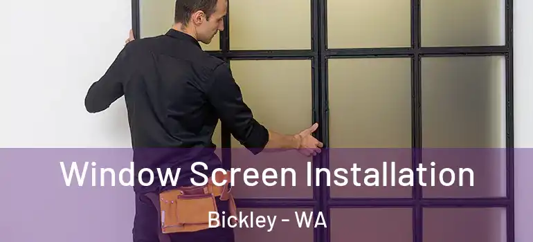 Window Screen Installation Bickley - WA