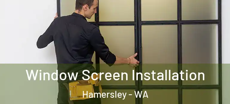  Window Screen Installation Hamersley - WA