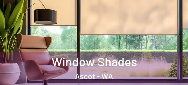 Window Shades Ascot - WA