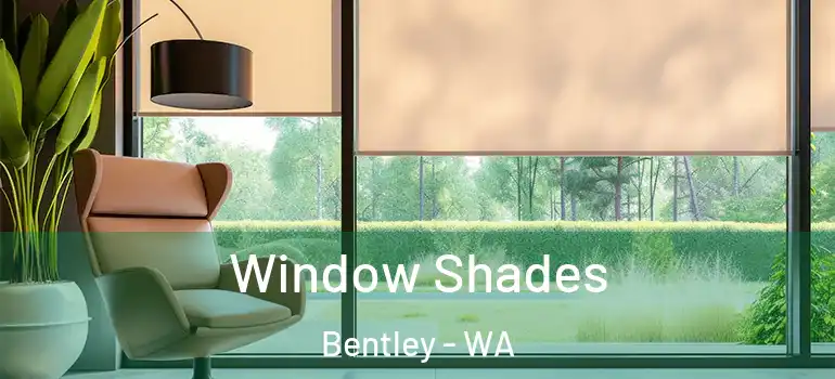 Window Shades Bentley - WA