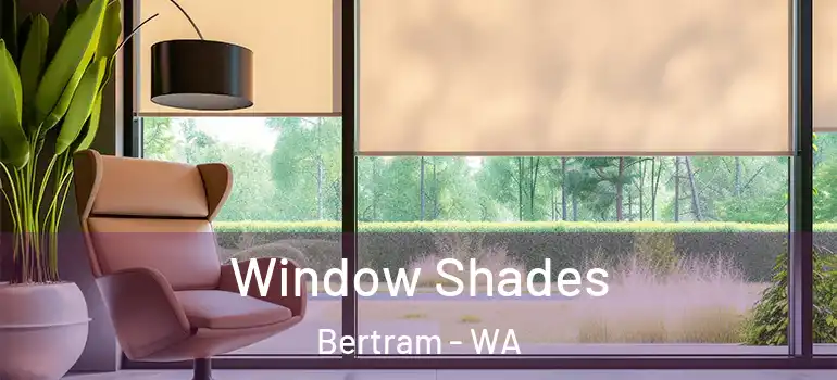  Window Shades Bertram - WA