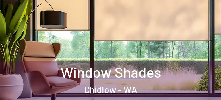 Window Shades Chidlow - WA