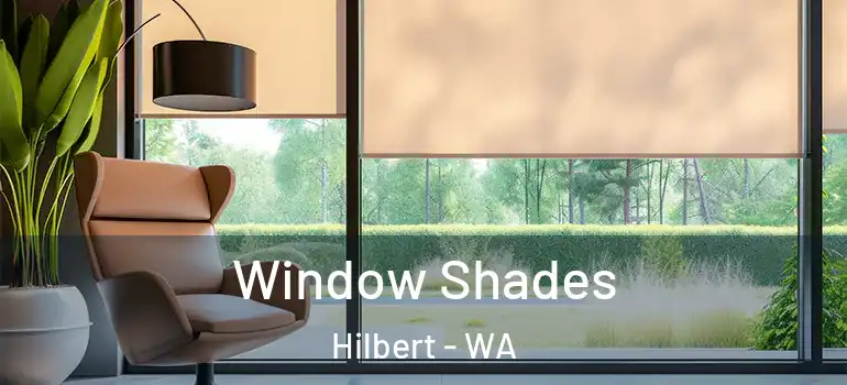  Window Shades Hilbert - WA