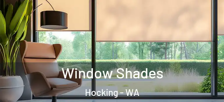  Window Shades Hocking - WA