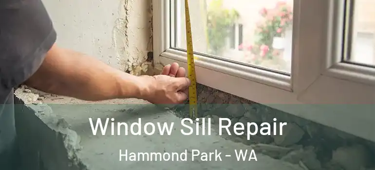 Window Sill Repair Hammond Park - WA