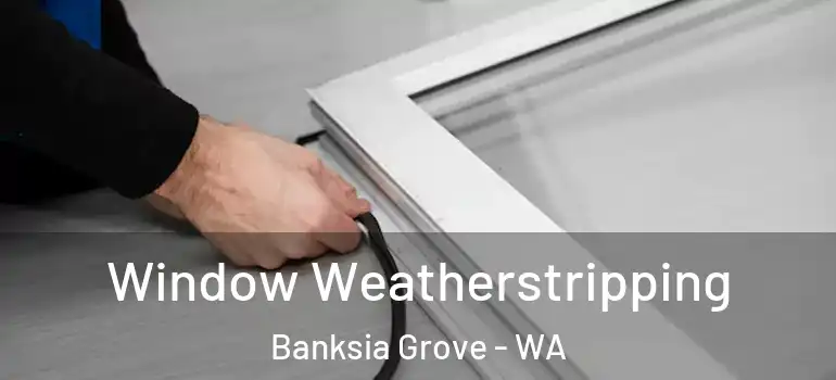Window Weatherstripping Banksia Grove - WA