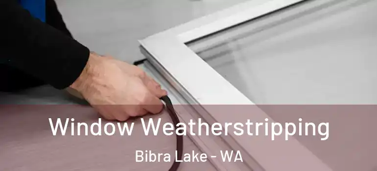 Window Weatherstripping Bibra Lake - WA