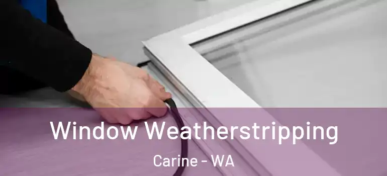  Window Weatherstripping Carine - WA