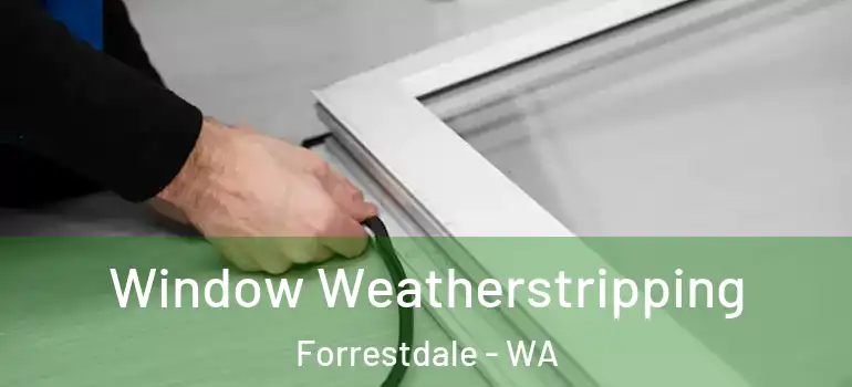 Window Weatherstripping Forrestdale - WA