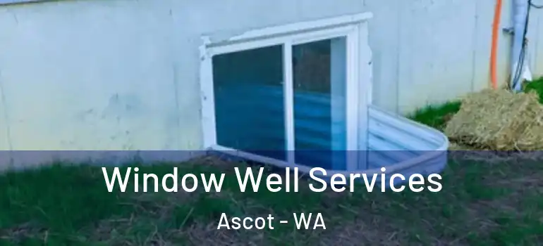 Window Well Services Ascot - WA