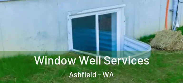  Window Well Services Ashfield - WA